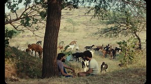 42 reactions | Cactus Pears (Sabar Bonda), directed by Rohan Parashuram Kanawade Winner of multiple awards including the Sundance World Cinema Dramatic Jury Prize, this tender, slow-burn romance between a Mumbai call-centre worker and a rural goat herder is told with subtlety and care. Cactus Pears (Sabar Bonda), screening on 29 August, 8.30pm. Book now: https://queerscreen.org.au/sessions/cactus-pears/ | Queer Screen - Mardi Gras Film Festival | Facebook