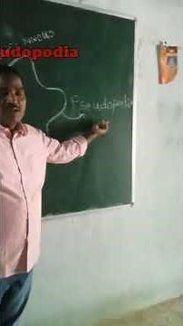 what is pseudopodia #amoeba#the function of pseudopodia #