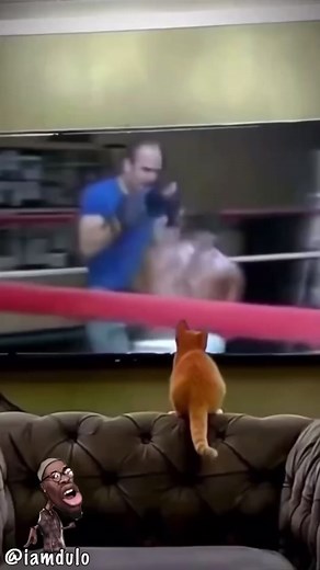 Dulo (@officialiamdulo)’s videos with original sound - Dulo