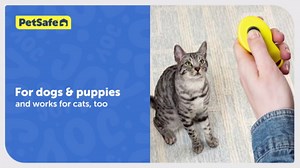 PetSafe Clik-R Training Tool – Clicker Trainer for Dogs – Positive Reinforcement – Dog Training Marker – All Stages of Life – Ergonomic Design – Clear Click Sound