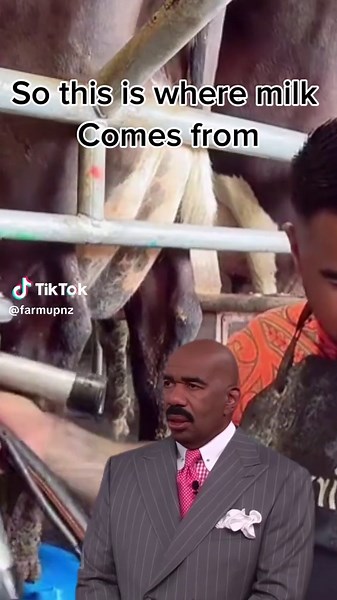 Understanding Where Milk Comes From: A Fun Exploration