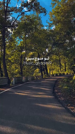 Music_ghadimi | ‎بفرمایید معین🥹 | #ایمووی #معین #آیموی #آهنگ 🔗‎ | Instagram