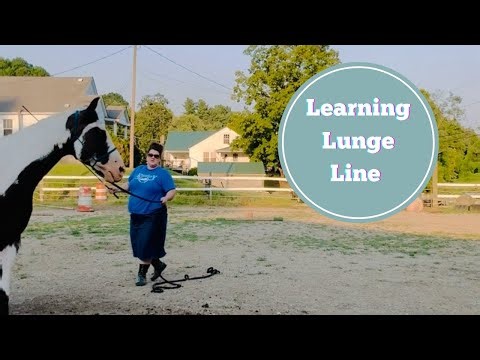 Learning Lunge Line Ground Work Exercise
