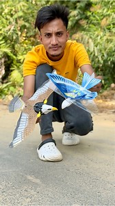 282K views · 958 reactions | Two Remote Control Flying Birds Eagle 礪 Unboxing and testing #flybird #toybird #short #viewers #review #badrulshorts | Badrul Shorts | Facebook