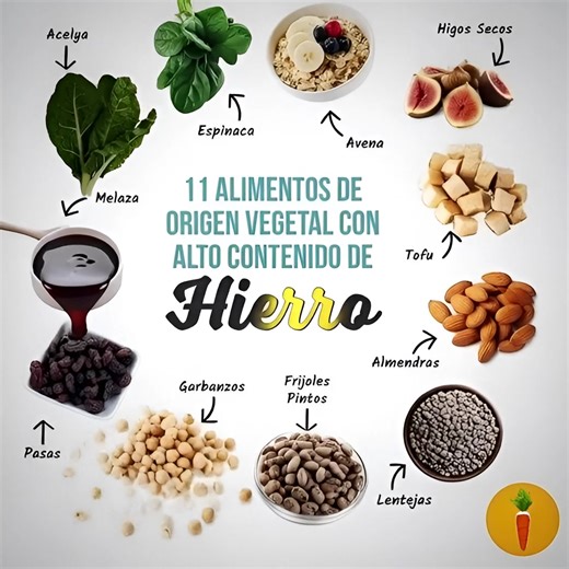 ¡Potencia tu energía con estos 11 alimentos vegetales ricos en hierro! 🌿💪 ¿Sabías que puedes obtener todo el hierro que necesitas sin tocar la carne? Esta receta natural te muestra cómo combinar los mejores aliados vegetales para una dieta energética, saludable y deliciosa. Receta Natura: “Bowl de Energía Verde con Hierro Vegetal” Ingredientes (para 2 porciones): - ½ taza de avena cruda o cocida - 1 taza de espinaca fresca (puedes agregarla cruda o ligeramente salteada) - ¼ taza de garbanzos c