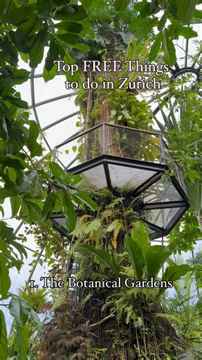 276K views · 977 reactions | Top FREE things to do in Zurich - Part...
