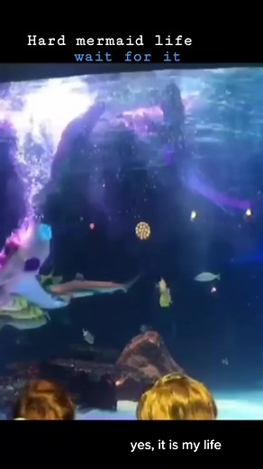 hard life #인어공주 #mermaid #추천 #recommendations #underwater