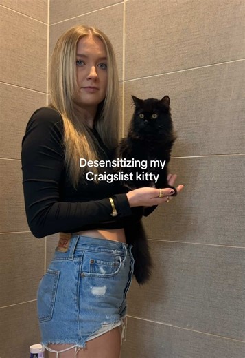 Desensitizing My Craigslist Kitty: A Ballet Journey