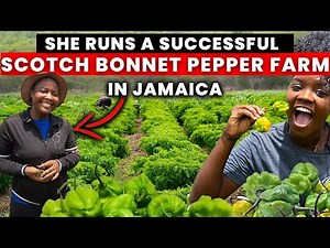 HOW A JAMAICAN FEMALE FARMER TURNED HER BACKYARD FARMING HOBBY INTO A SUCCESSFUL BUSINESS