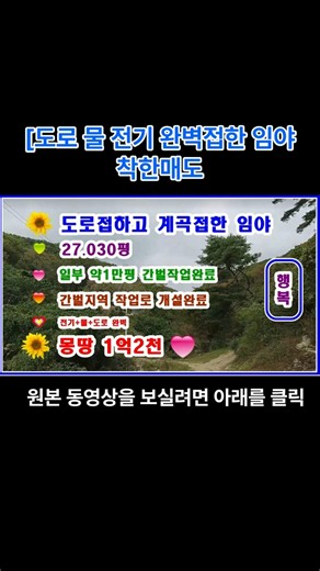 [급매임야] 계곡물흐르고 +전기접하고+도로까지 다 접한 임야 27030평 일부 간벌완료 일부 작업로개설완료 널은평수 몽땅1억2천#shorts