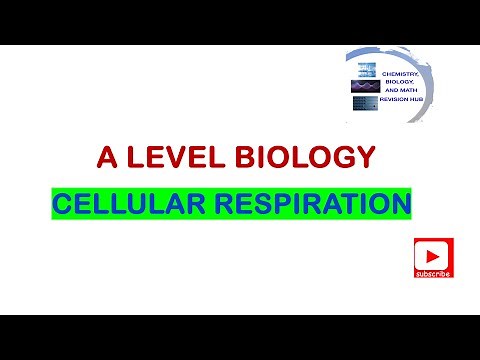 A level | Biology | Topic 7A | Cellular respiration | Pearson Edexcel |