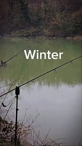 19K views · 296 reactions | Winter carpfishing is challenging, but with the right JRC equipment, every goal is possible! Even in the cold and tough conditions, every session brings unforgettable moments! @anglerava_95 #JRC #Jrcfishing #JrcRova #Rova #JrcRadar #RadarXTX #carpfishing #Fishing #CarpAngler | JRC Carp | Facebook