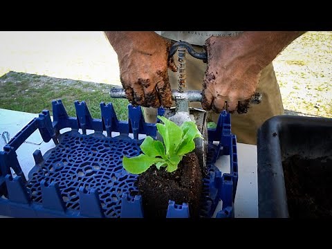 4-Inch Soil Block Tutorial and Pro-Tips W/ Jim Kovaleski
