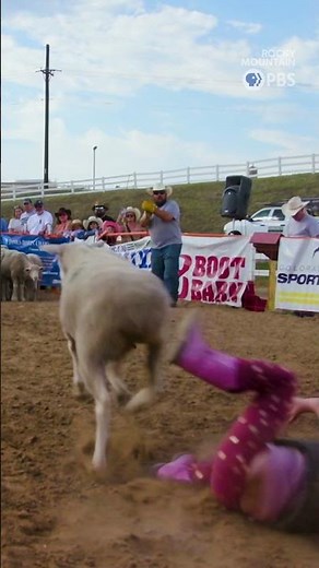 Mutton Bustin' in Colorado