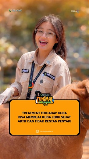FUNIMAL PARK & FARM on Instagram: "Tahukah kamu? 🤔 Kuda juga membutuhkan vitamin untuk menjaga daya tahan tubuh, kesehatan otot, dan kilau bulunya ✨ Di Funimal Park & Farm, pemberian vitamin dilakukan secara teratur sesuai kebutuhan kuda agar mereka tetap sehat dan aktif 🐴💚 Karena kuda sehat = kuda bahagia! 📍Cisarua, Sukaraja, Sukabumi Regency, West Java 43192 P :+62 858 1117 5191 / +62 815 7212 2023 E : goalparateapark@gmail.com W : www.goalparateapark.com #GoalparaTeaPark #WisataAlamSukabu