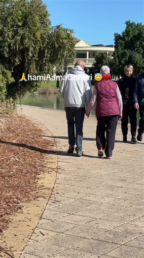 Elderly Couple's Joyful Walk in Beautiful Park