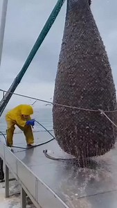 5.6K views · 540 reactions | Your energy is the script—your life is...