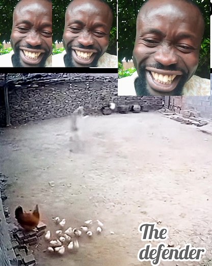 94K views · 520 reactions | Give this dog a name please! #doglover #fypreelsシ゚viralシ #traineddog Excel Chidera Joshua Chibueze Teens corner Mc Pipiro Mazi Akonuche Johnson Uchmatt TV | Uchmatt TV | Facebook