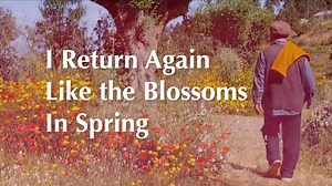 66K views · 2.9K reactions | A Poem by Rumi — I Return Again In this...