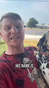 57K views · 3K reactions | We love our Dalmatian but here are some things you should know #pets #dog #dalmatian #dogs #pet #facts | Nomad's Animal Encounter | Facebook