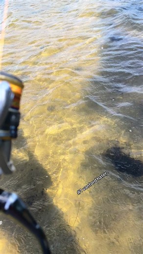 Guess Who's Back: Epic Fishing Moments!