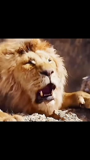 11K reactions · 38 shares | Simba’s Last Chance: বাবা হারিয়ে সবকিছু বদলে গেল | Follower House | Facebook