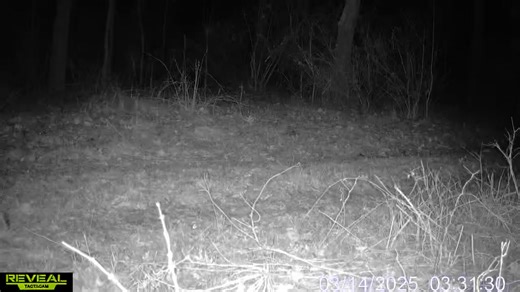 326K views · 5K reactions |  A wild success story at Duke Farms...