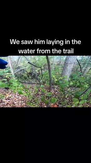 We Saved a Life Magnet Fishing in Flint Michigan. #magnetfishing #flint #dog #saved #animalcruelitystops #fur #pitbull #animalsoftiktok #whosavedwho #adventure