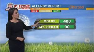 Get out the allergy meds: Mountain Cedar is here!