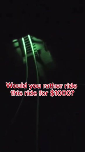 Would you rather ride this ride for $1000 trust me this ride will make you vomit