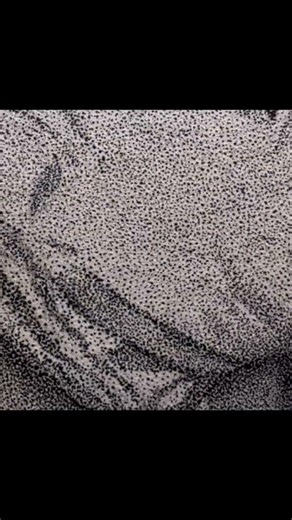 Stippling Technique Pen and Ink✍️ #art #drawing #sketch #portrait #foryou #viral #video