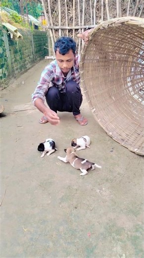 हरे राम हरे राम कृष्ण कटहल जादू 🙏🚩😱|| Hare rama hare krishna bhakti gana arjun kirtan part-174