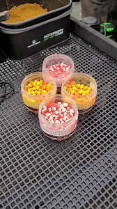 194 reactions · 21 shares | Two-tone, highly visible hookbaits that add two colour variants for fish to home-in on when fishing the feeder! Available in orange/yellow and white/pink in 5mm and 7mm sizes - check them out in your local Dynamite stockists! #dynamite #dynamitebaits #hibridz #wowsers | Dynamite Baits - Match & Coarse | Facebook