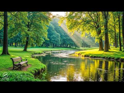 Beautiful Relaxing Music & Nature Sounds 🕊️ Reduce Stress, Stop Overthinking and Deep Sleep