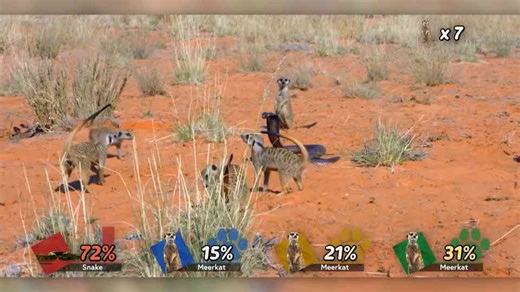 Mongoose reflex speed compared to venomous snake strike time