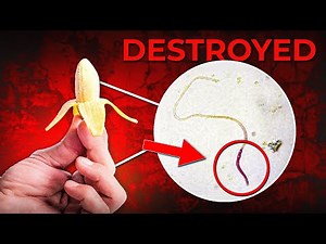 How To Do Recovery? (All Boys Need to Watch This video)