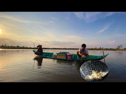 Harvesting Black Tiger Shrimp and Cooking a Simple | Slow Countryside Life