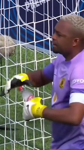 The best we ever had. ✌🏻✌🏻✌🏻✌🏻✌🏻✌🏻✌🏻✌🏻 #fypシ゚viralシfypシ゚viralシalシ #viralphotochallenge #Amakhosi4Life Kaizer Chiefs | Mandla Zide