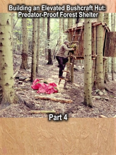 Bushcraft Treehouse Shelter Build for Solo Camping