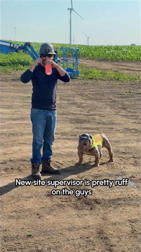 Worked on a site with this guy as the manager a few years ago & he works the boys to the bone! 😂🐕