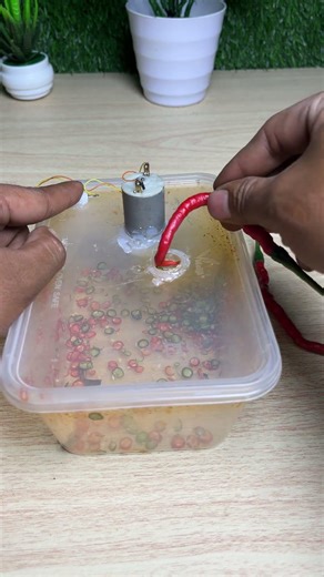 DIY Simple Chili Cutting Machine Using a DC Motor