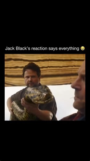 MEMES on Instagram: "😭 Now playing in theaters 🎬 Anaconda follows a documentary crew venturing deep into the Amazon in search of a legendary giant snake. What starts as a daring expedition quickly becomes a fight for survival when they come face-to-face with a massive anaconda stalking them through the jungle. As fear escalates and trust is pushed to the limit, the team must rely on instinct and wit to escape a relentless predator determined to hunt them down. 🐍🌴💀 #anacondamovie #sonypicspa