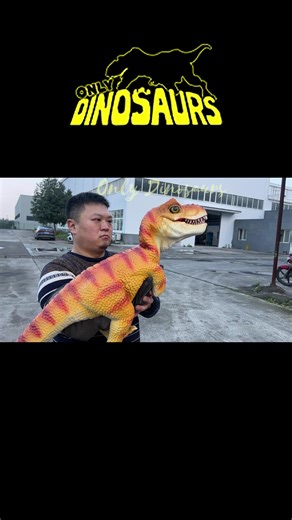 Pocket-Size Baby T-Rex Puppet #DinosaurAttraction#KidsEntertainment #MuseumExhibit #FarmAttractions#EventProps #InteractivePuppet