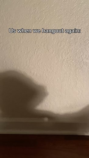 @little_pepe__ | When me and my special pookie hangout🥹❤️ | Instagram