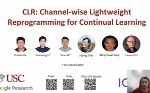 [ICCV 2023] CLR: Channel-wise Lightweight Reprogramming for Continual Learning
