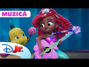 🎼 Toată lumea cântă | Disney Junior Ariel | Disney Junior România