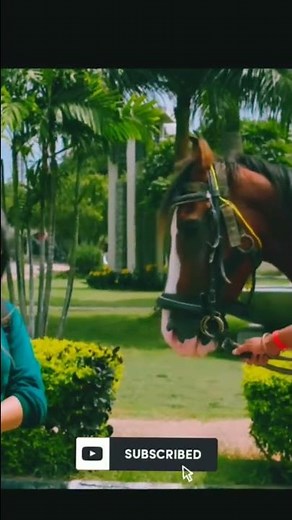 Bf ho bf blue film 😂 funny video