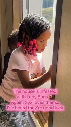 57K views · 1K reactions | It’s Syxy-Poo … Well, went to see Deddy today. The day started off with an infestation of lady bugs at my investment house and it was the same last year. Of course my 3yr old reminds me that Mama is always near… but what about this baby???? I really think my baby is anointed  He is doing well and cant wait to have Deddy back… I am hopeful and I know God makes no mistakes. There was a shift needed for many reasons. | Sweet Home Bama | Facebook