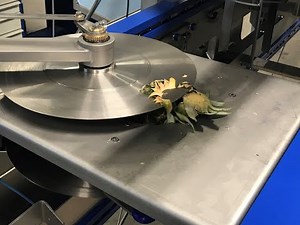 ZTI Pineapple Peeler