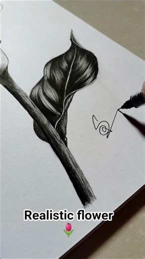 Hyper realistic drawing of a flower 🌷||charcoal sketch #drawing #sketch #shorts#flower